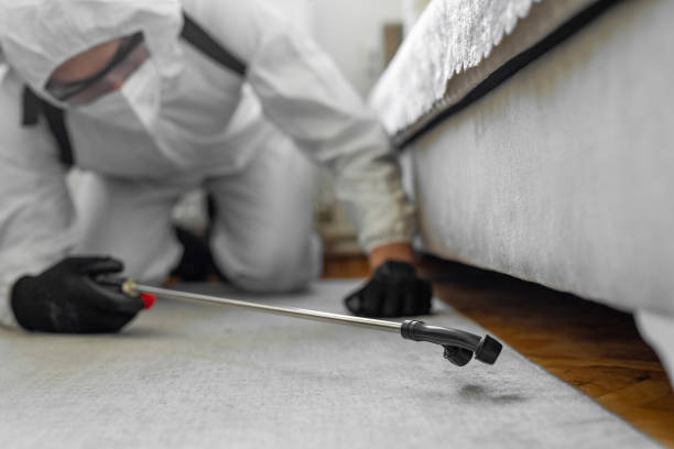 Professional Bed Bug Control technician working in Todd County County, SD